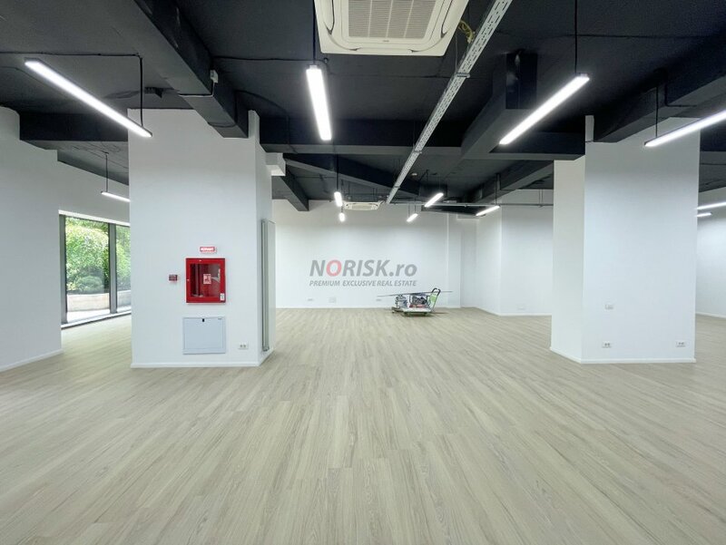 Spatiu Comercial Parter CORTINA Academy 273mp 2021